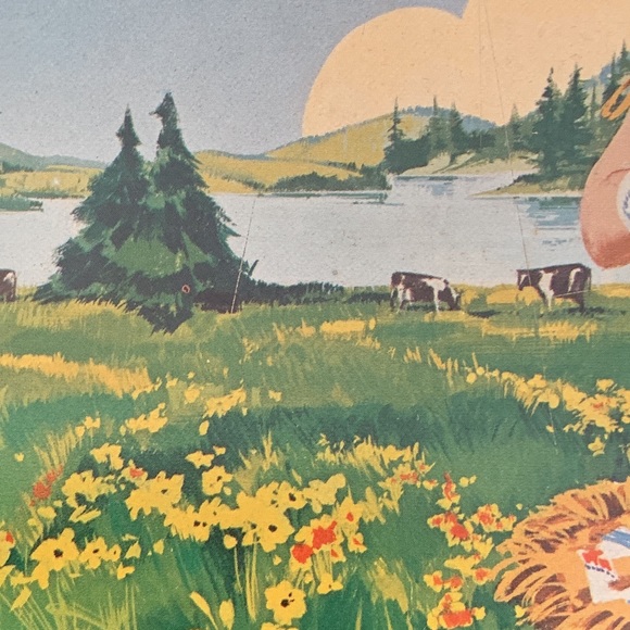 1950's Land O' Lakes Sweet Cream Butter Serving Tray ORIGINAL - Picture 12 of 16